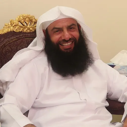 مساعد الطيار